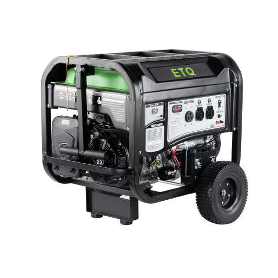 موتور برق ETQ مدل TG15900E3