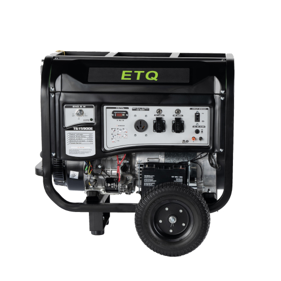 موتور برق ETQ مدل TG15900E3